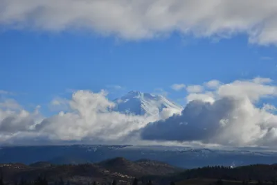 DSC_5888 (Large).JPG